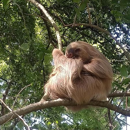 Mombacho Lodge Гранада Экстерьер фото
