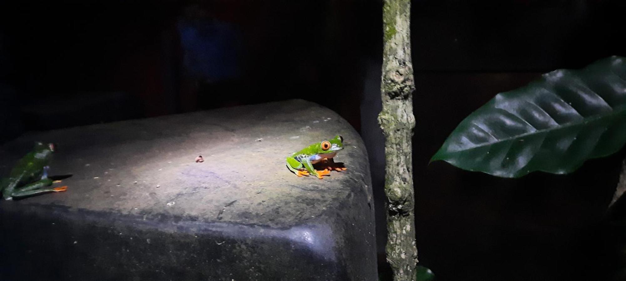 Mombacho Lodge Гранада Экстерьер фото