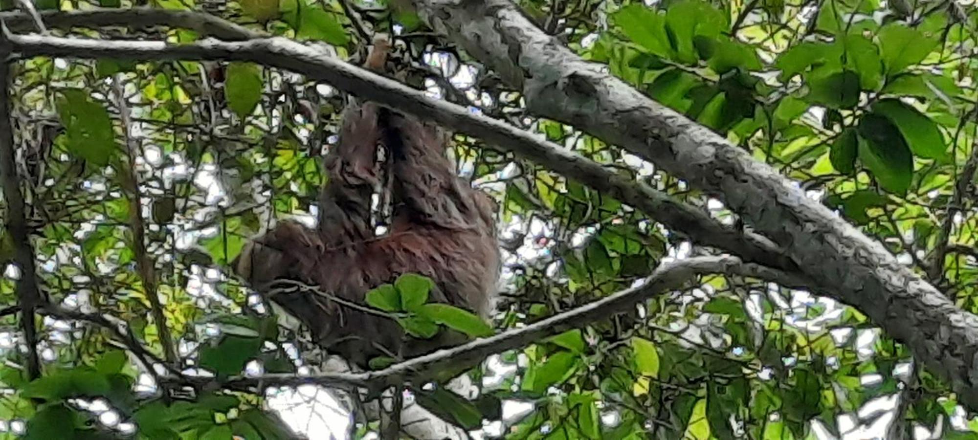 Mombacho Lodge Гранада Экстерьер фото