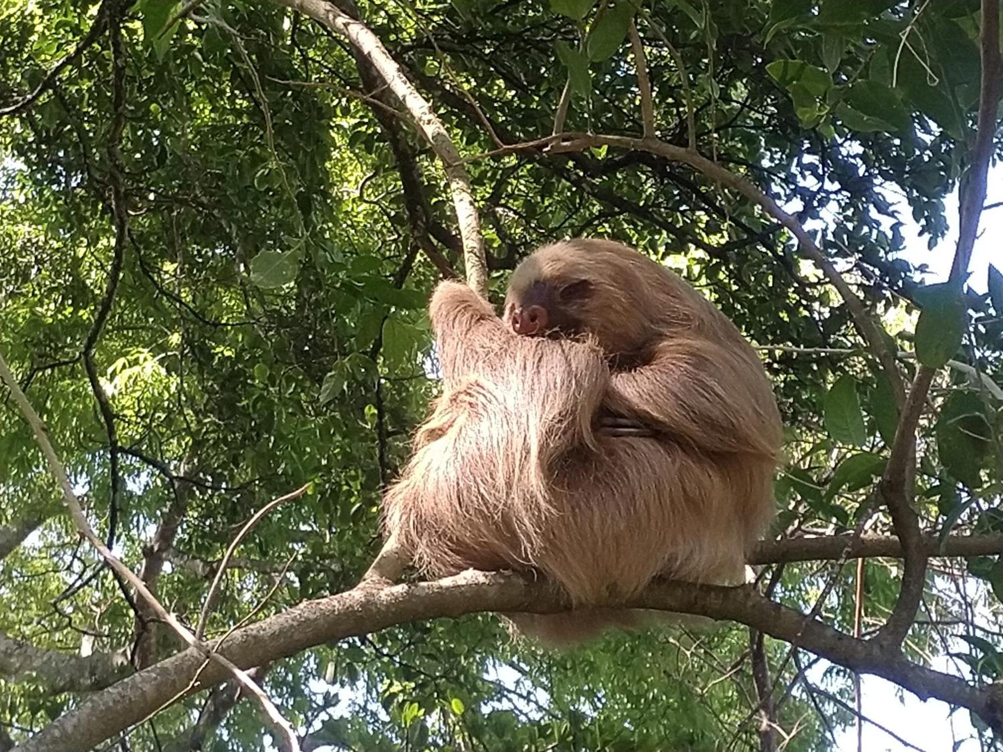 Mombacho Lodge Гранада Экстерьер фото