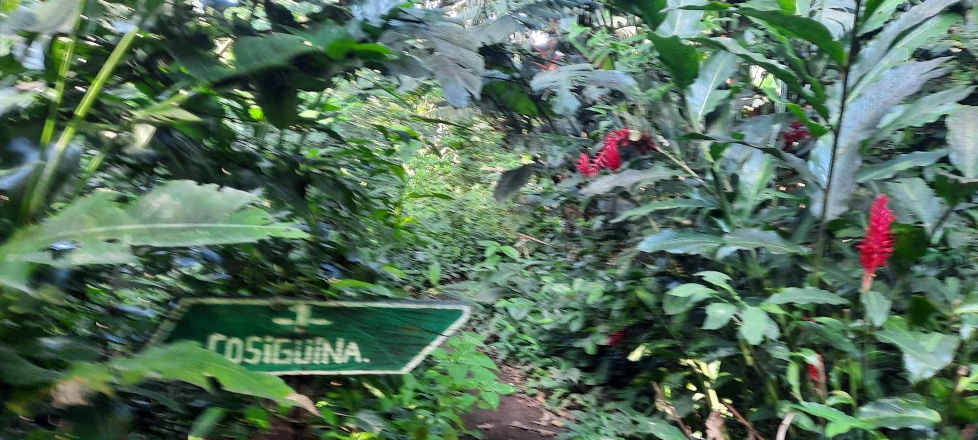 Mombacho Lodge Гранада Экстерьер фото