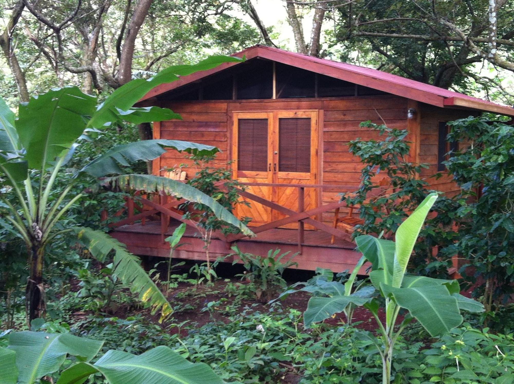 Mombacho Lodge Гранада Номер фото