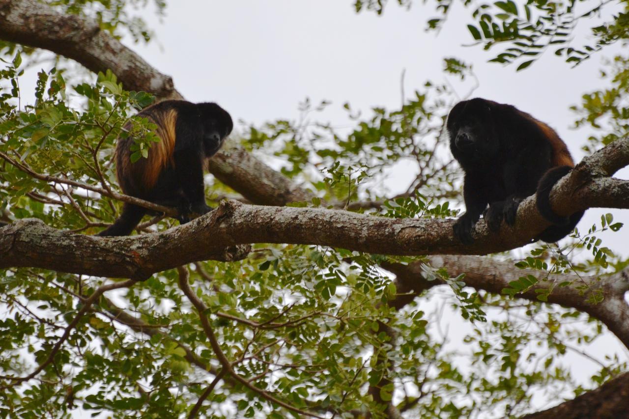 Mombacho Lodge Гранада Экстерьер фото