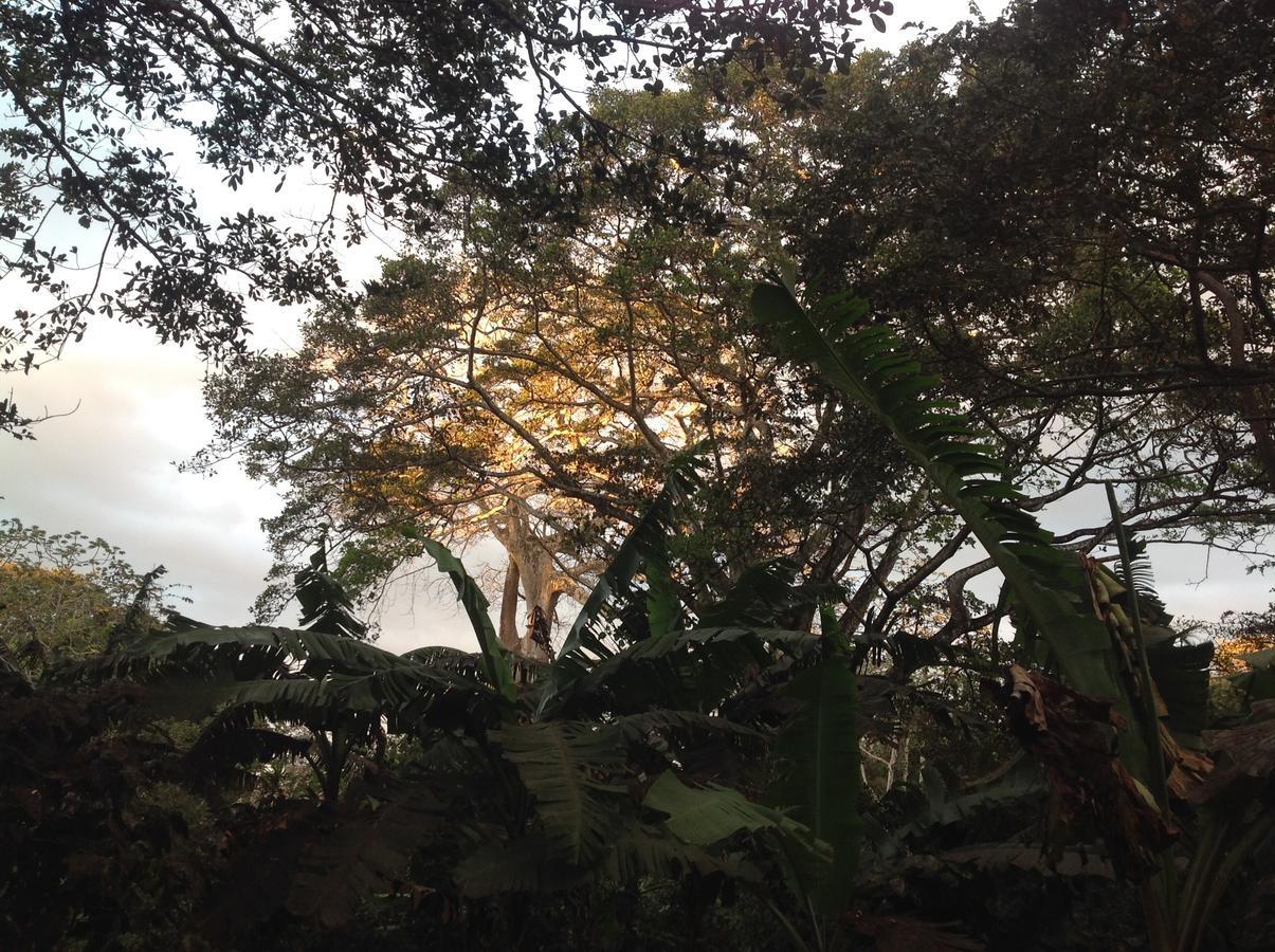 Mombacho Lodge Гранада Экстерьер фото